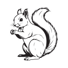 Squirrel line art vector silhouette with white Background