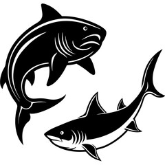 shark cat fish silhouette Vector