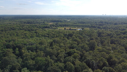 Obraz premium Drone shot of the forests in the Landes region, France