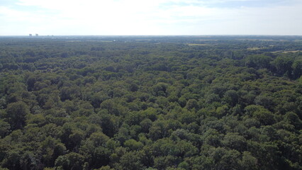 Drone shot of the forests in the Landes region, France
