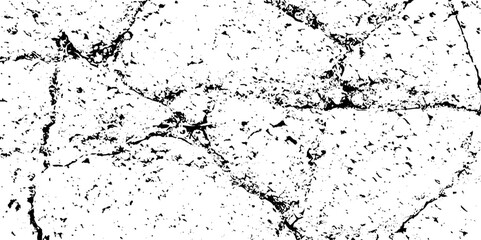 Fototapeta premium The cracks texture white and black. Vector background. Desert backdrop. Cracks in dry surface cement texture