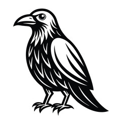 Beautiful Raven Crow Vector Illustration – Dark Bird Silhouette Art for Gothic, Nature, Halloween, and Fantasy Projects with Bold Black Feathers and Elegant Profile
