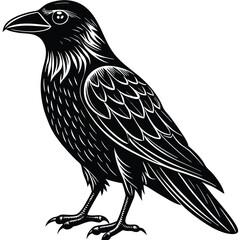 Beautiful Raven Crow Vector Illustration – Dark Bird Silhouette Art for Gothic, Nature, Halloween, and Fantasy Projects with Bold Black Feathers and Elegant Profile