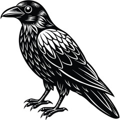 Beautiful Raven Crow Vector Illustration – Dark Bird Silhouette Art for Gothic, Nature, Halloween, and Fantasy Projects with Bold Black Feathers and Elegant Profile