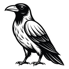 Beautiful Raven Crow Vector Illustration – Dark Bird Silhouette Art for Gothic, Nature, Halloween, and Fantasy Projects with Bold Black Feathers and Elegant Profile