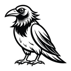 Beautiful Raven Crow Vector Illustration – Dark Bird Silhouette Art for Gothic, Nature, Halloween, and Fantasy Projects with Bold Black Feathers and Elegant Profile