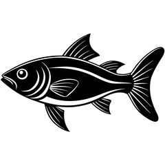 catla fish silhouette Vector