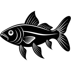 catla fish silhouette Vector