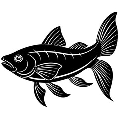 catla fish silhouette Vector
