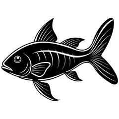 catla fish silhouette Vector
