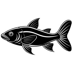 catla fish silhouette Vector