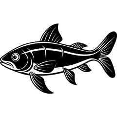 catla fish silhouette Vector