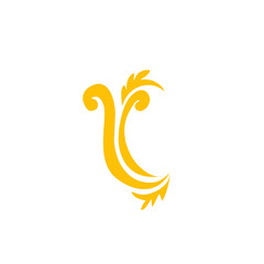 Fototapeta premium golden flower ornaments swirl