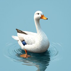 Fototapeta premium White Duck Swimming in Blue Water with Ripples