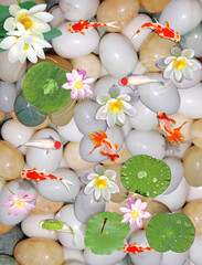 Beauti full Background of water with Stone &  fish flower