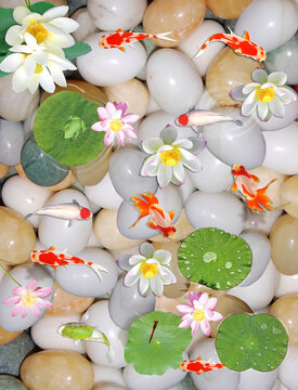 Beauti full Background of water with Stone &  fish flower