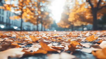 "Autumn Leaves Sunlit, Blurred Background with Text Space for Seasonal Design