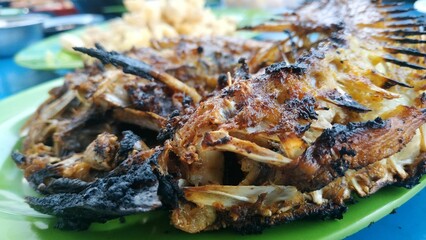 Grilled Fish Close-Up on a Green Plate