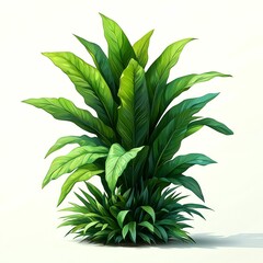 Fototapeta premium Lush Green Tropical Plant with Large Leaves on White Background