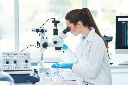 Woman, research and microscope at laboratory for bacteria with medical study, investigation and development. Female scientist, lab coat and science with testing for virus, disease and illness