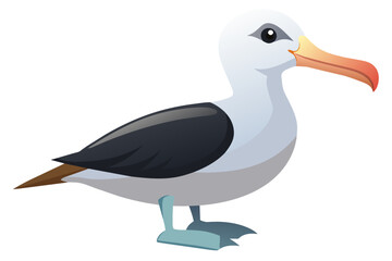  Laysan albatross bird vector art illustration