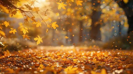 Falling Autumn Leaves.