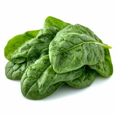 Obraz premium Fresh Green Spinach Leaves Isolated on White Background