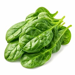 Obraz premium Fresh Green Spinach Leaves Isolated on White Background