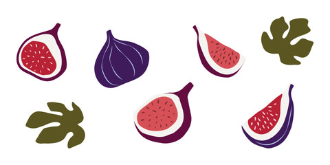 set of fig fruit. fig leaves. isolated hand drawn on white background