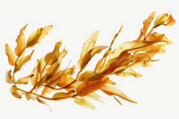 A close-up shot of a plant on a white surface, ideal for using as a background or highlighting the beauty of nature