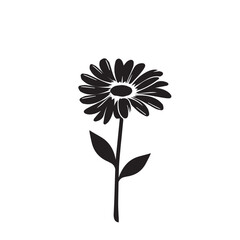 Silhouettes daisy flower icon set , Vintage botanical flower icon. Vector botany natural plant design.	
