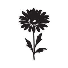 Silhouettes daisy flower icon set , Vintage botanical flower icon. Vector botany natural plant design.	

