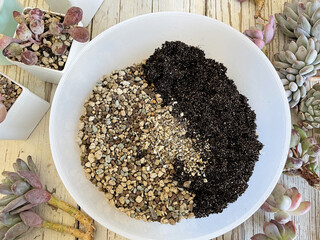 Home gardening transporting indoor plants to new pots