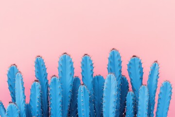Modern Blue Cacti Against Pastel Pink Background