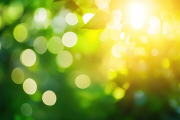 Fototapeta premium Green Bokeh Background with Radiant Sun Rays