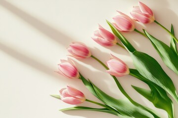 Naklejka premium Diagonal Arrangement of Pink Tulips on a Light Cream Background