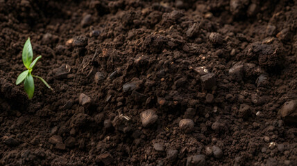 dark garden soil,
