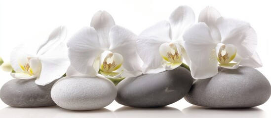 White Orchids and Stacked Stones in a Zen Arrangement