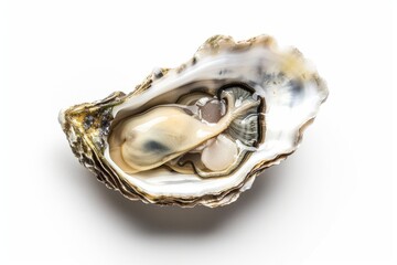 Naklejka premium A stunning close-up of an oyster showcasing its natural beauty. The delicate textures and colors are mesmerizing. Perfect for food lovers and nature enthusiasts. Generative AI