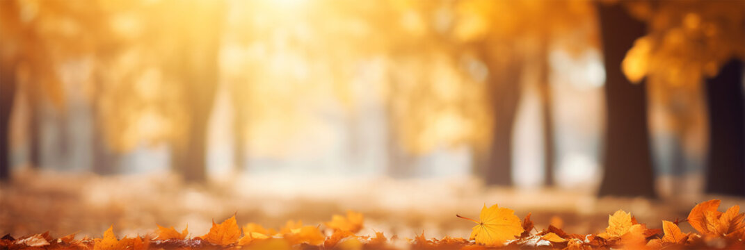 Autumn fall leaves wide banner.