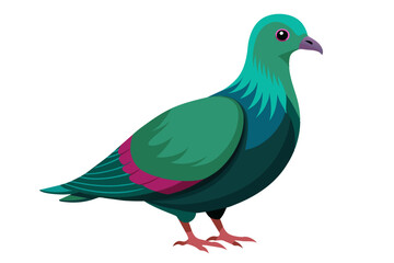 Nicobar pigeon vector art illustration