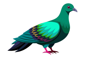 Nicobar pigeon vector art illustration