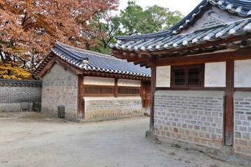 Fototapeta premium 한국 전통건물, 창덕궁의 가을 풍경