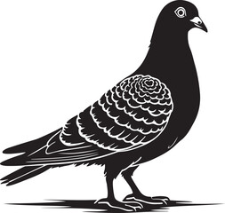 Pigeon silhouette vector art Illustration