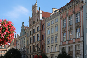 Kamienice na starym mieście w Gdańsku lato 2024 © MR. Stanek