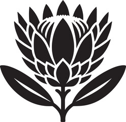 sketch of king protea flower black silhouette vector, Black and white flower