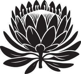 sketch of king protea flower black silhouette vector, Black and white flower