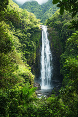 Majestic waterfall surrounded by nature

