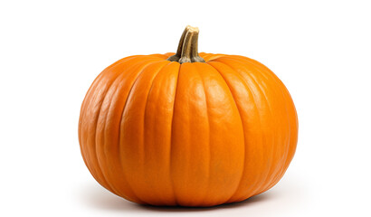 Pumpkin. Beautiful ripe orange pumpkin isolated on white