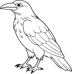 Crow line art vector silhouette illustration
